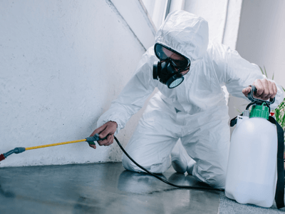 About Termite Inspection & Termite Treatment Vineland NJ - Termite Inspection experts in Vineland