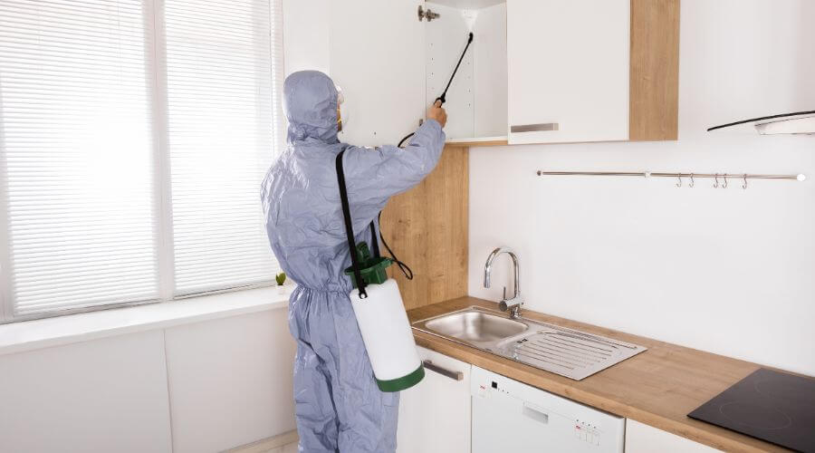 Professional Termite Inspection services in Vineland - Termite Inspection & Termite Treatment Vineland NJ