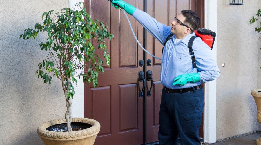 Why choose Termite Inspection & Termite Treatment Vineland NJ for Termite Inspection in Vineland